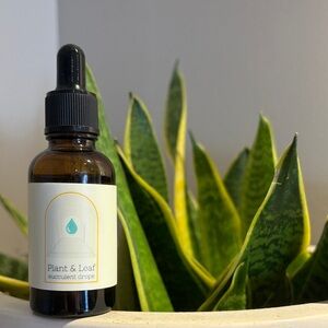 Succulent Drops - Brown Bottle